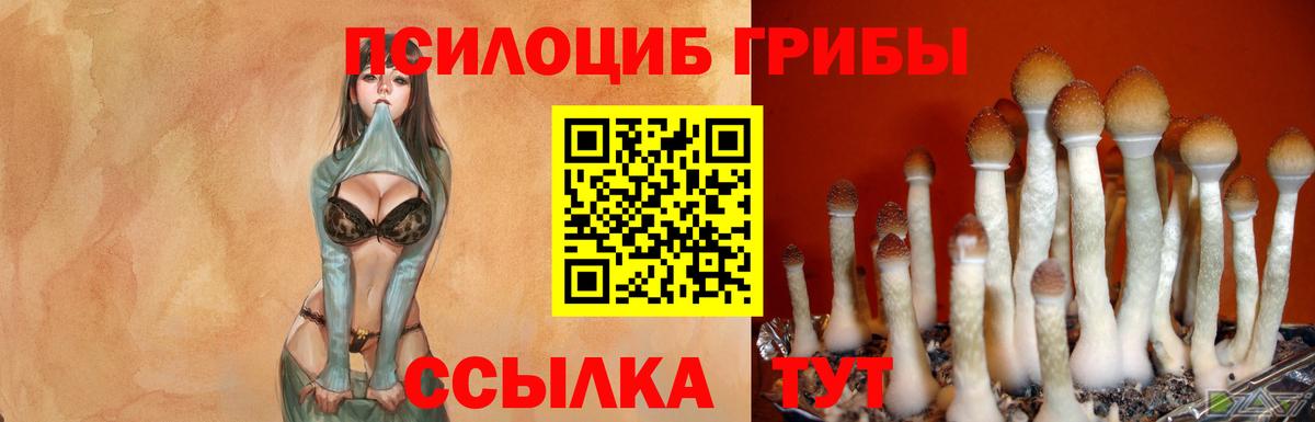 наркотики  Вход с VPN  Ленинск-Кузнецкий  Псилоцибиновые грибы MAGIC MUSHROOMS 