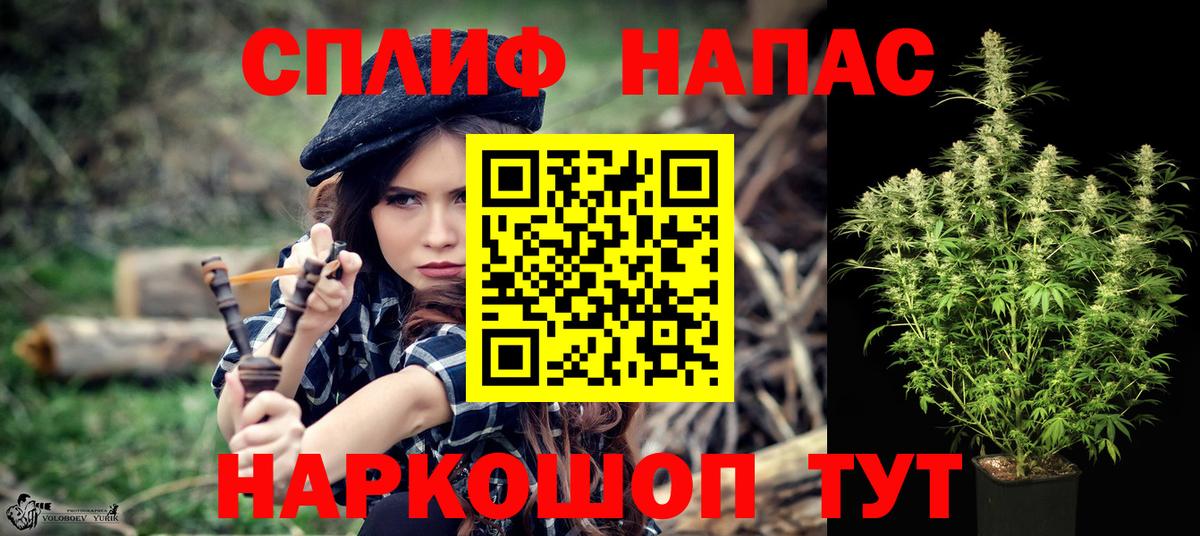 Бошки Шишки конопля Ленинск-Кузнецкий